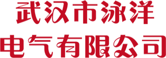 武汉市泳洋电气有限公司